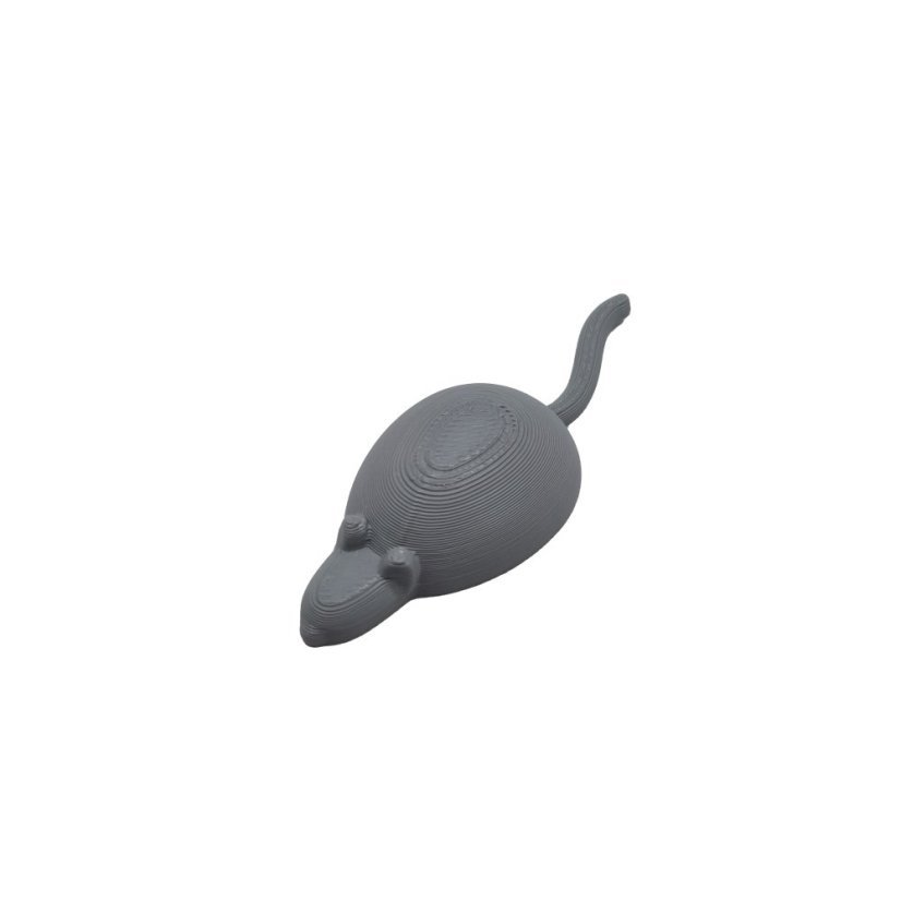 Myš miniatura