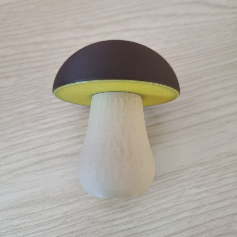 Hříbky