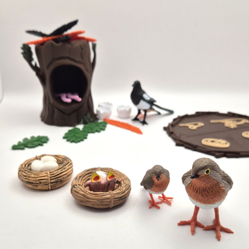 Tubáčik Ptačí svět