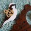 Navlík Ptačí krmítko