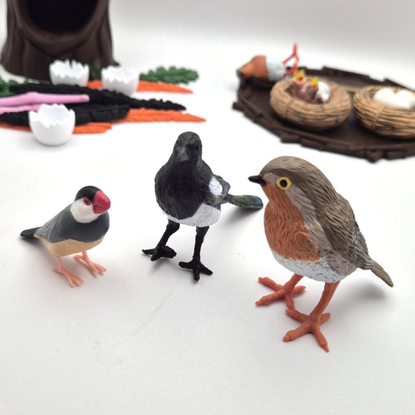 Tubáčik Ptačí svět